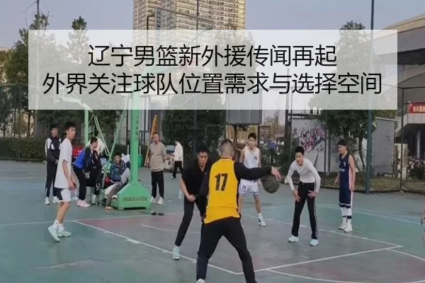 辽宁男篮新外援传闻再起 外界关注球队位置需求与选择空间